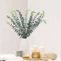 Lush Eucalyptus Stems