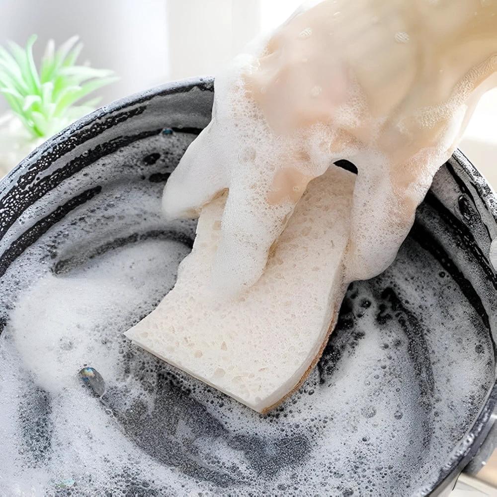 Coconut Fiber Natural Dish Sponge