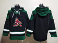 Arizona Coyotes Team Blank Pullover Hoodie