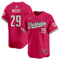 James Wood Jersey #29 Washington Nationals Vapor Limited All Stitched