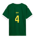 Palmeiras GIAY 4 Home 2025-26 Jersey – Green