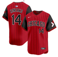 Paul Konerko Jersey #14 Chicago White Sox 2025 City Connect Vapor Premier Limited Stitched