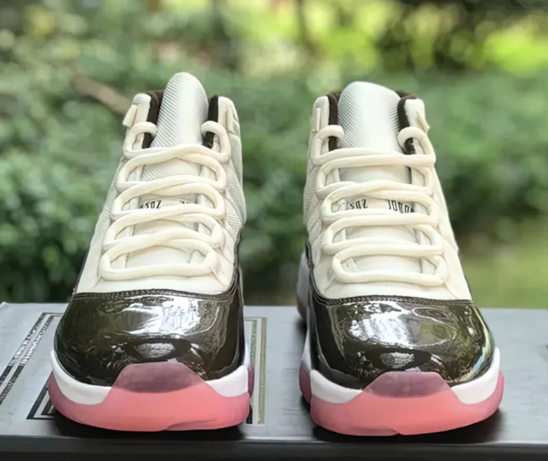 AJ 11 Neapolitan Custom Shoes Sneakers