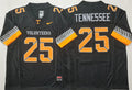 Tennessee Volunteers #25 Tennessee 2025 F.U.S.E. Stitched Jersey
