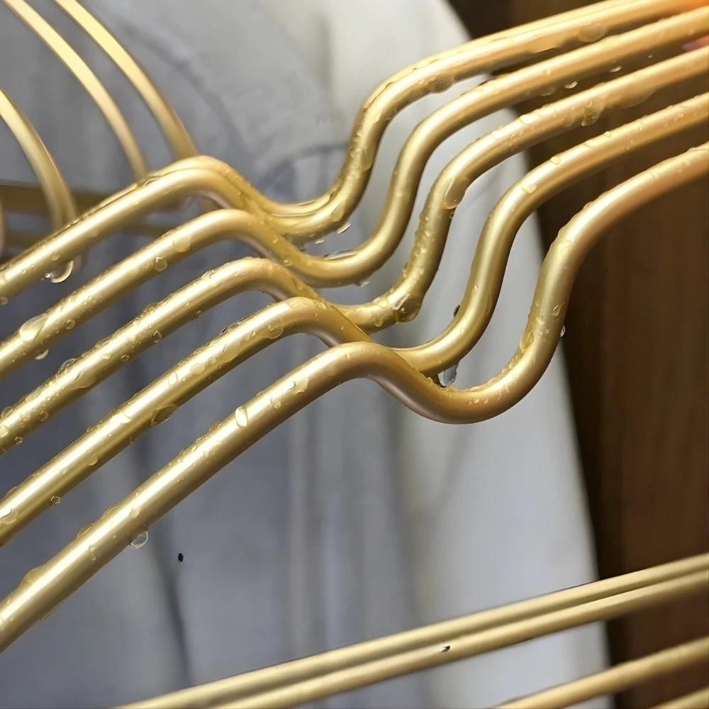 Aurex Clothes Hanger Seamless Non-Bulge Design | 10pcs Set