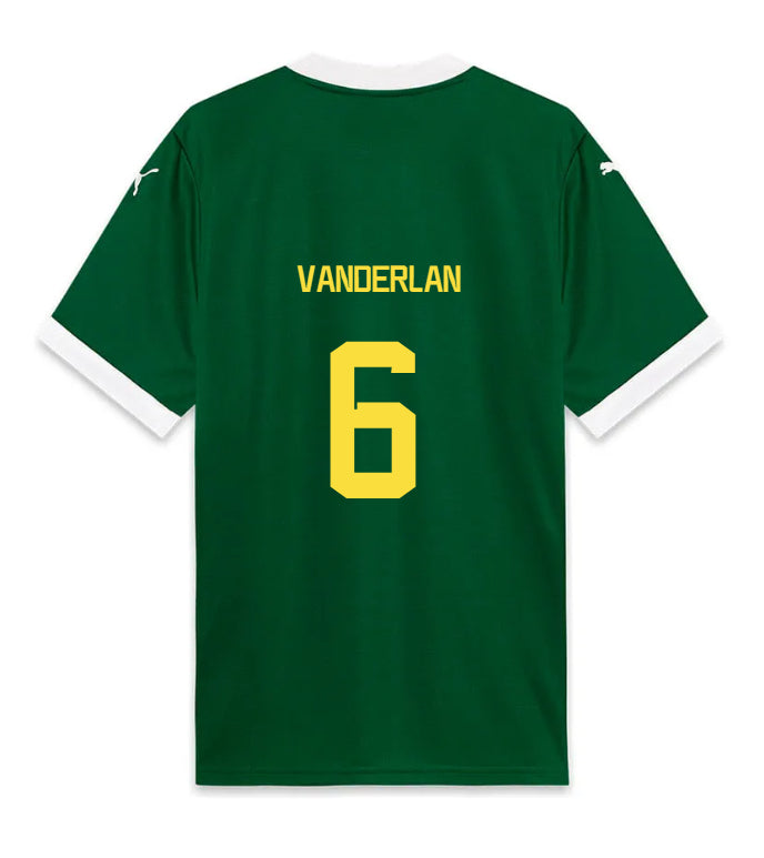 Palmeiras VANDERLAN 6 Home 2025-26 Jersey – Green